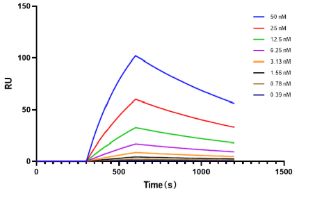 Nucleic Acid / Aptamer Interactions