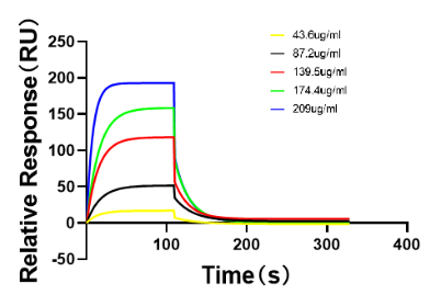 Protein-Peptide  Interactions